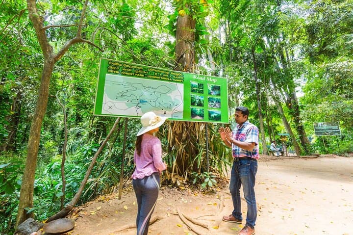 Forest Walk and Birding Tour to Udawatte Kele, Kandy from Negombo