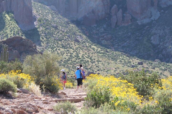 Apache Trail Private Half-Day Tour
