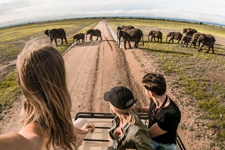 4-Day |Sharing Safari, Tarangire, Serengeti, Ngorongoro