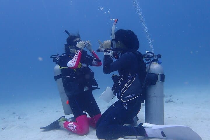 Discovery Scuba Dive.