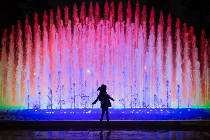Magic Water & Laser Light Show Including Pickup And Drop-Off