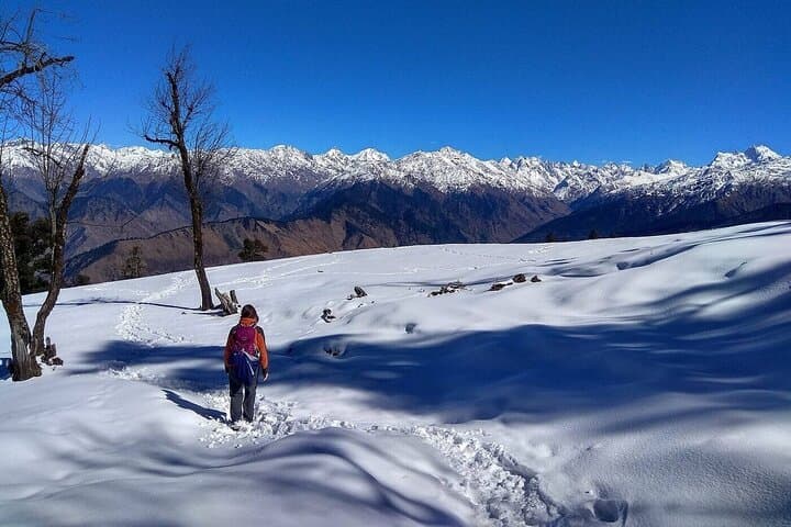 5 Days Kedarkantha Trek