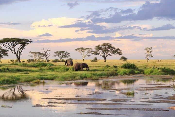 3 Day: Northern Wonders Safari