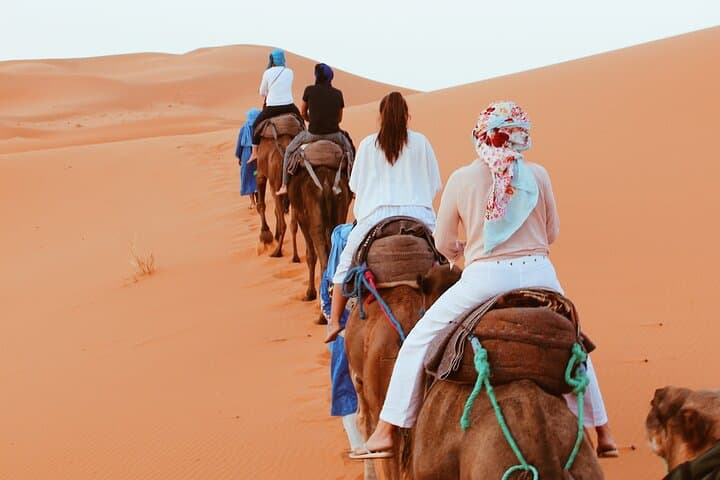 5 Days Desert and Essaouira, great for Families