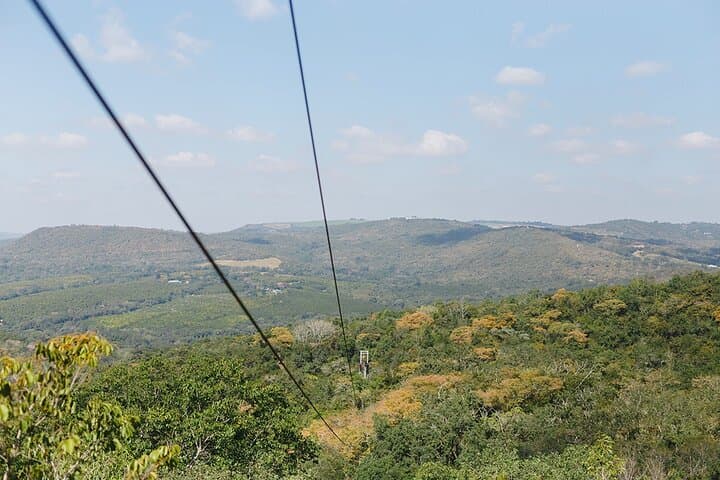 Aerial Cable Trail in Hazyview