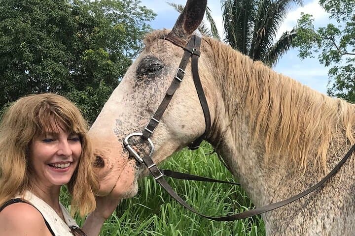 Jungle farm ride