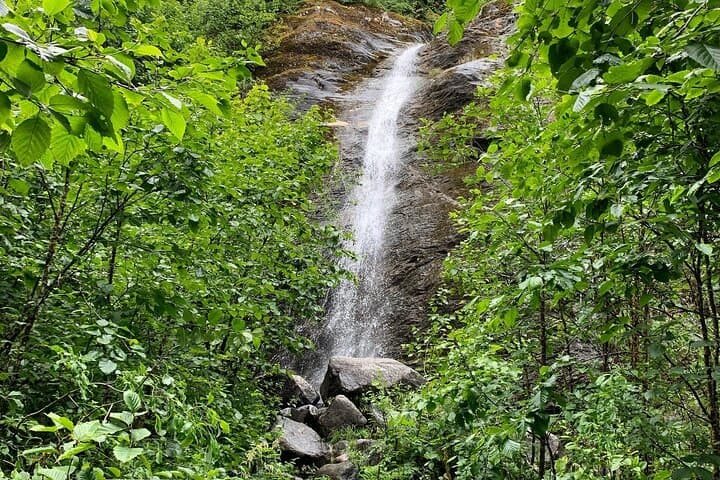 Rainforest & Waterfalls Trek