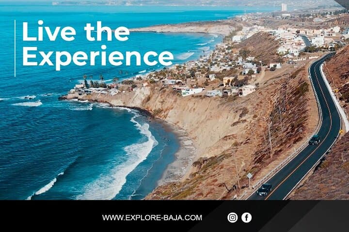 PRIVATE BAJA WINERIES EXPERIENCE (Transportation,concierge,custom schedule)