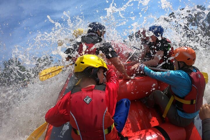 Peaks to Canopy Discover the Northern Andes and Amazon