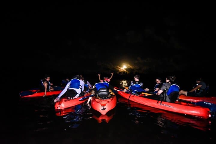 Puerto Rico Sunset Magic: Bio Bay Kayaking Tour from Fajardo