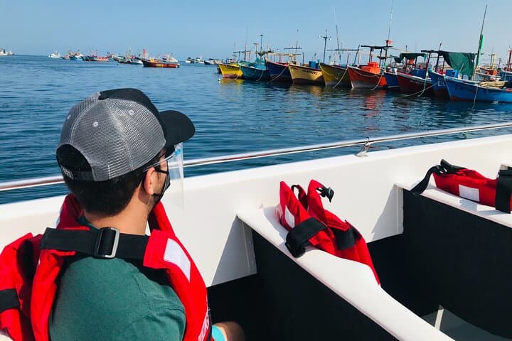 Full Day Tour to Paracas and Ica from Lima