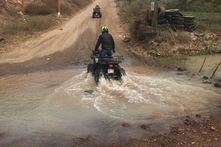 Rosarito/Paintball/Mountain Horses + Transportation