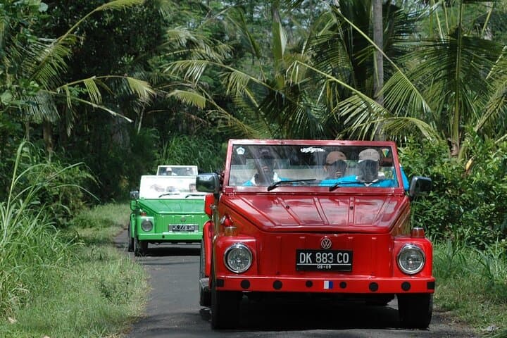Unique Full-Day Eastern Bali Adventure by VW Safari Vehicle