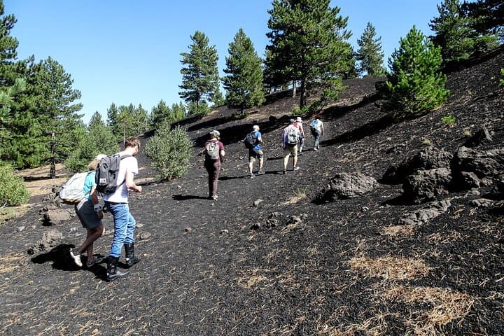 Etna Morning Tour, caves and craters