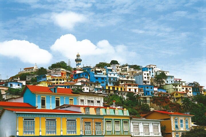 Guayaquil City Tour & Chocolate Farm with Typical Lunch PRIVATE Day Trip