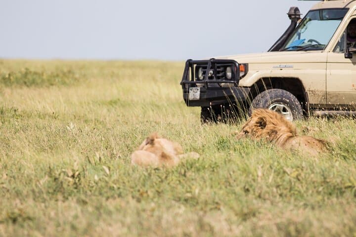 Kenya Tanzania Herdtracker Migration Safari - 08 Days
