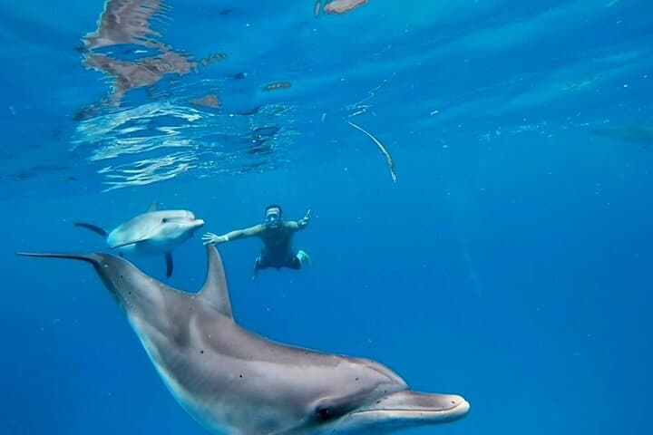 Create-Your-Own Luxury Adventure in Bimini with photographer