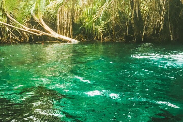 Private Full-Day Materuni Waterfalls and Kikuletwa Hotspring