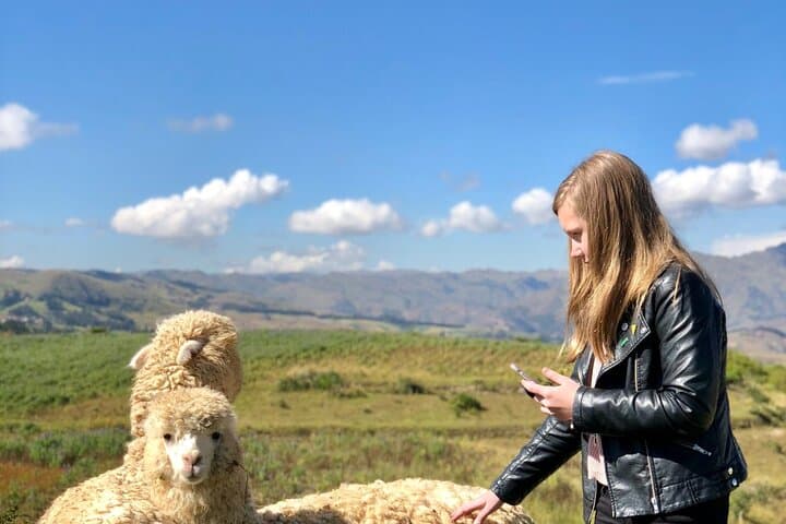 Half-Day Acclimatization Hike with Llamas and Alpacas in Cusco