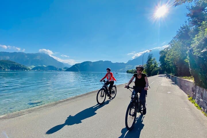 Lake Lucerne Peninsula e-Bike Tour