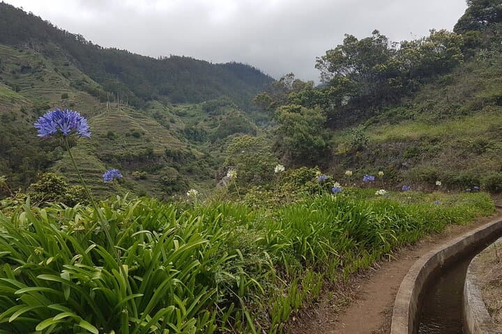 Madeira: Levada Nova Tabua Private Half-Day Walking Tour