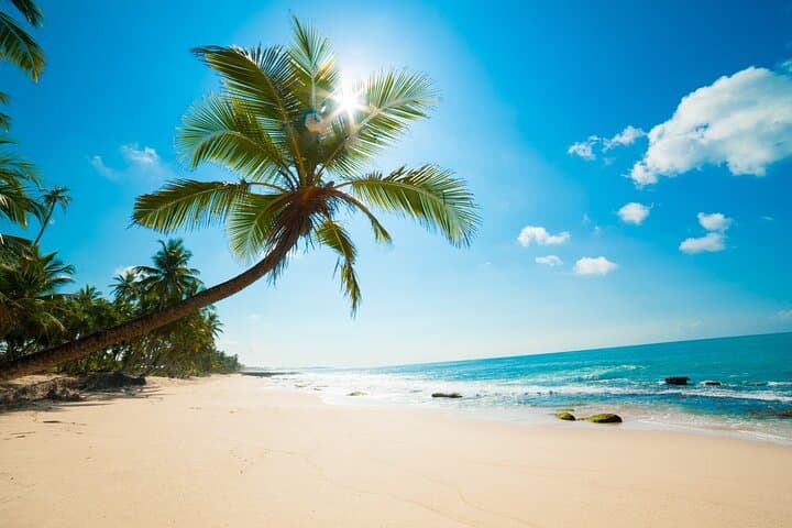 Sri Lanka Experience - 12 Days Private Tour