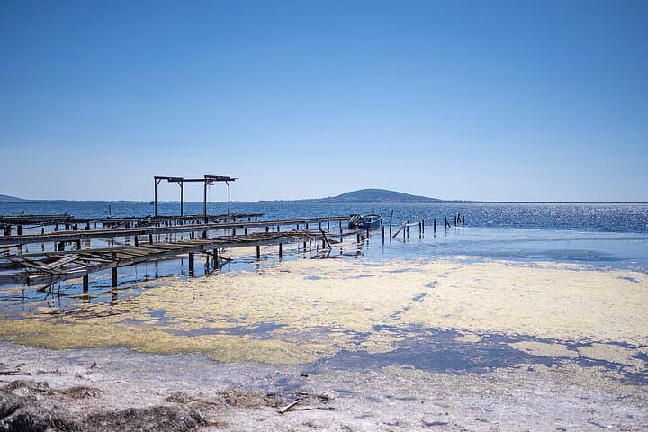 Highlights of Sète, food and wine tour