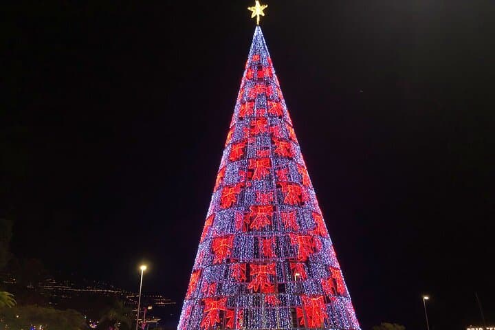 Private Funchal Christmas Light Tour