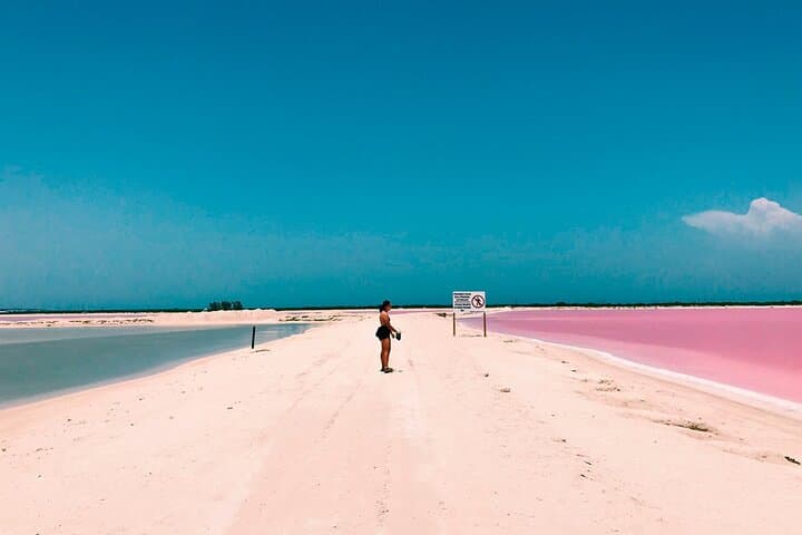 Pink Lake Las Coloradas + Rio Lagartos Reserve! From Cancun