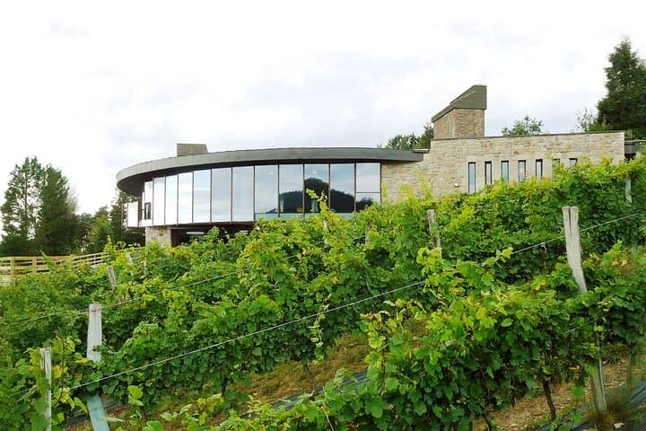 Txakoli Wine Tasting & Local Flavors near Bilbao