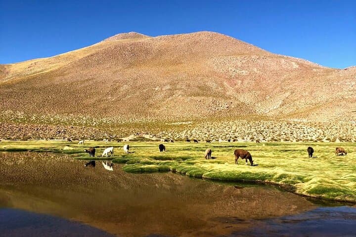 3-Day Exploring San Pedro de Atacama