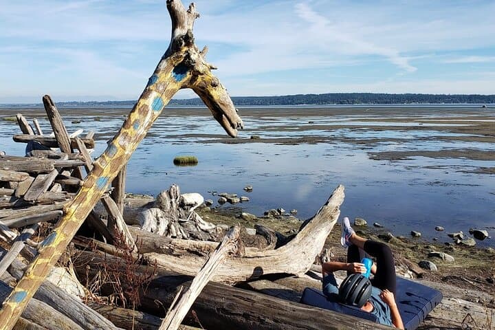 Mud Bay Park Bicycle Rental