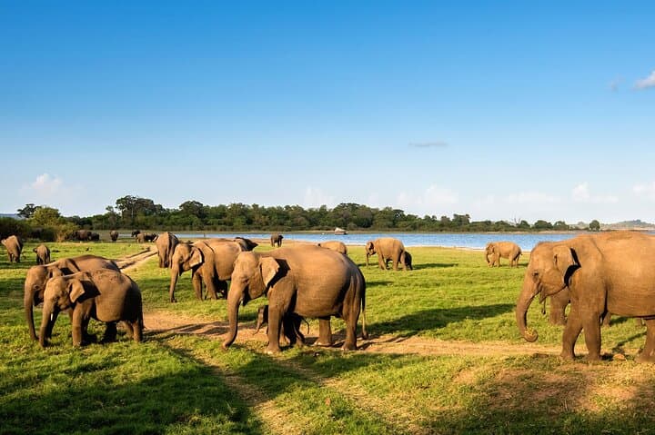 Private Multi-Day Outdoor Tour in Sri Lanka