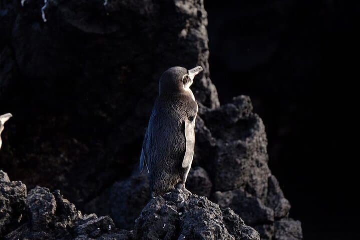 4 Days Galapagos " Total Experiences "