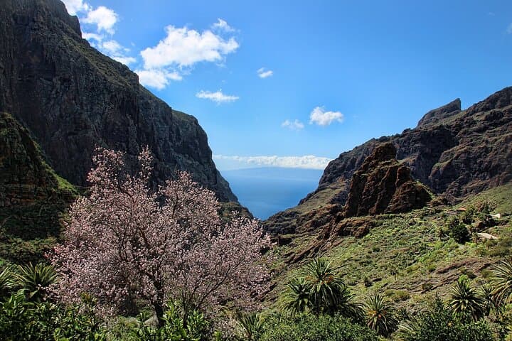 Day trip to the island of Tenerife