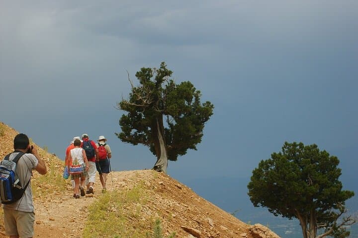 8 Days tour in Kas with Transfer