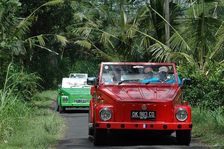 Private Full-Day West Bali Adventure in Vintage Volkswagen