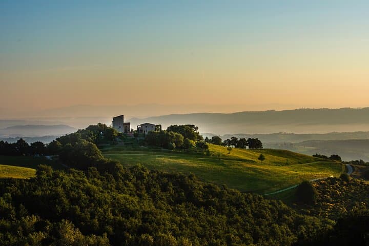 Wine Experience at Torre Bisenzio Winery