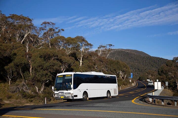 Thredbo or Perisher Bus Trip from Canberra