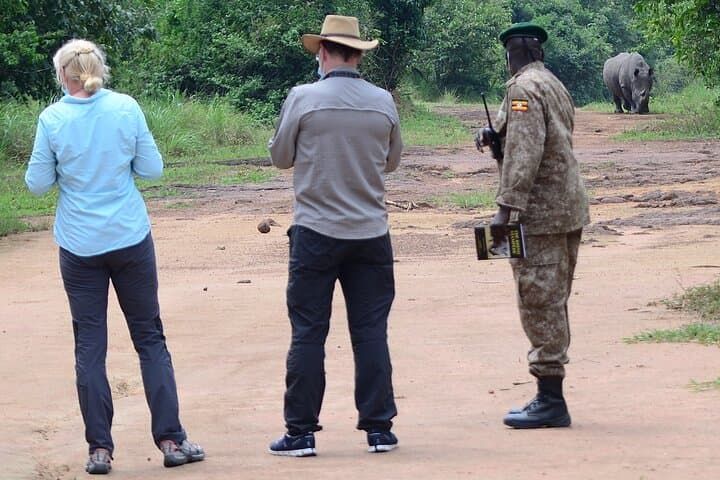 1-Day Rhino Tracking Experience at Ziwa Rhino Sanctuary