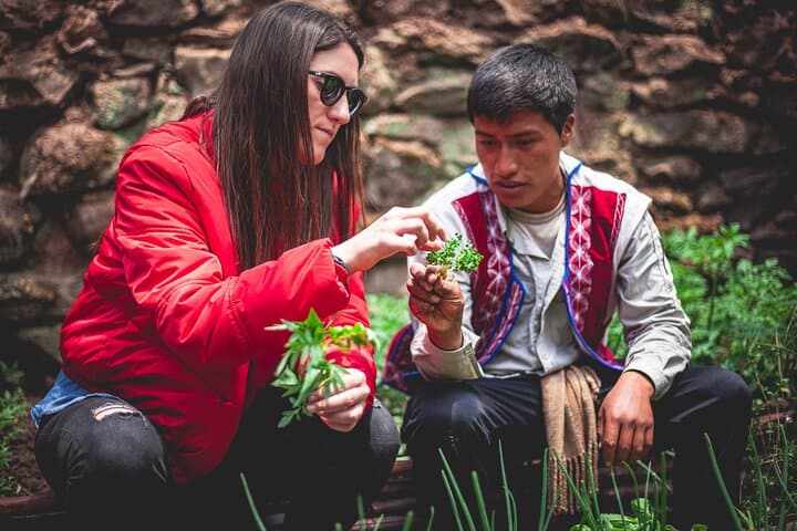 Personalized Journey in Peru