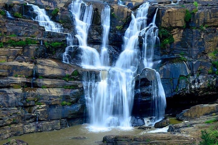 Sri Lanka Private 8-Day Guided Tour with Pickup from Colombo