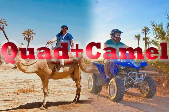 Quad palmeraie Marrakech et balade chameau transport inclus