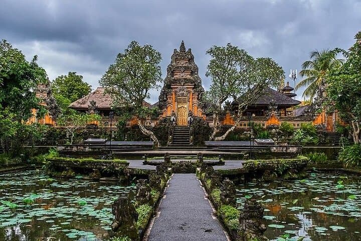 Ubud Highlights Tour ( Private All-Inclusive )