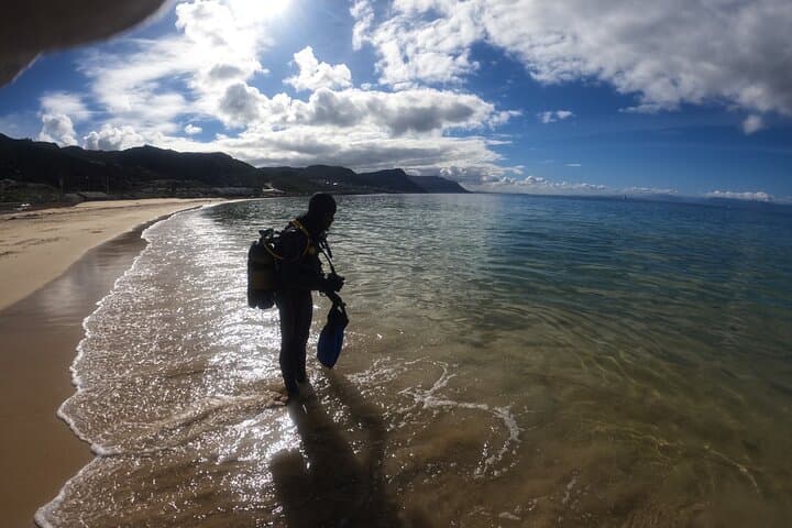 Beginner Scuba Diving Experience in Simonstown.