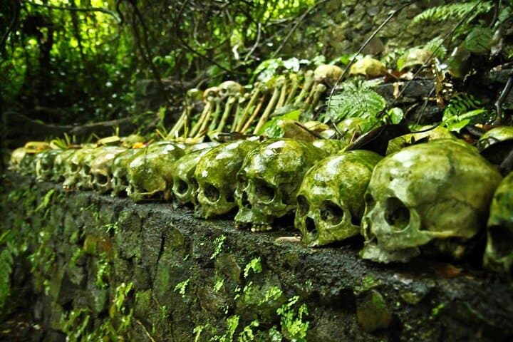 Trunyan Cemetery, Hot Spring, Penglipuran Village, and Waterfall Tour