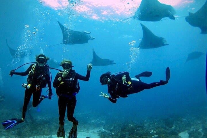 Sanur Open Water Course learn diving in 3 Days - Get certified & Dive everywhere