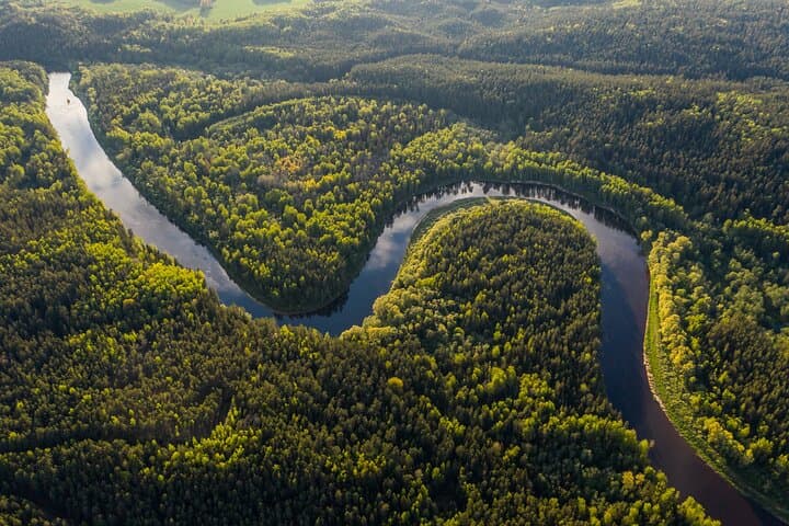 Iquitos Jungle Tour for 3 Days