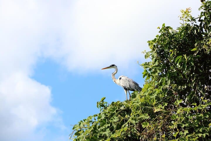 5-Day Iquitos Amazon Tour