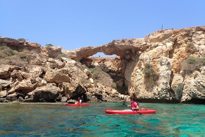 4 hour Guided kayaking trip along east Cape Greko